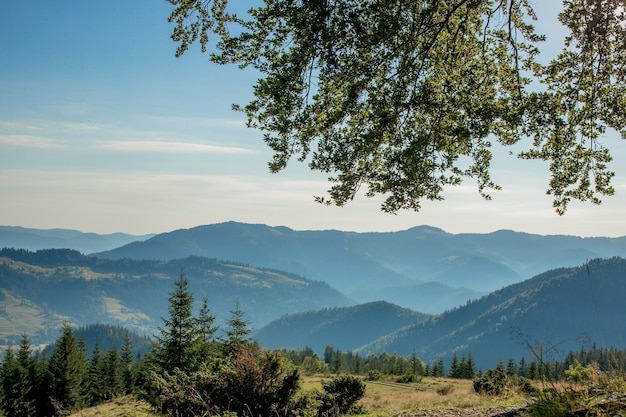 Panorama der Karpatenberge am Sommermorgen