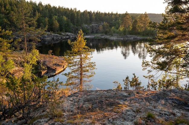 Panorama der Republik Karelien Nördliche Natur Russlands Blick auf den Waldsee mit Pinien bei Sonnenuntergang Ladoga-Schären