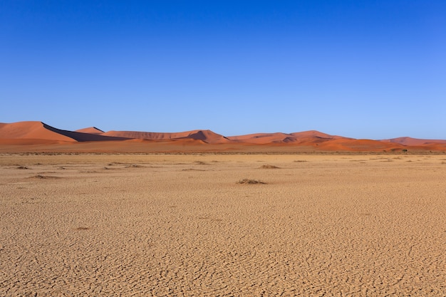 Panorama der roten Dünen vom Sossusvlei Namibia