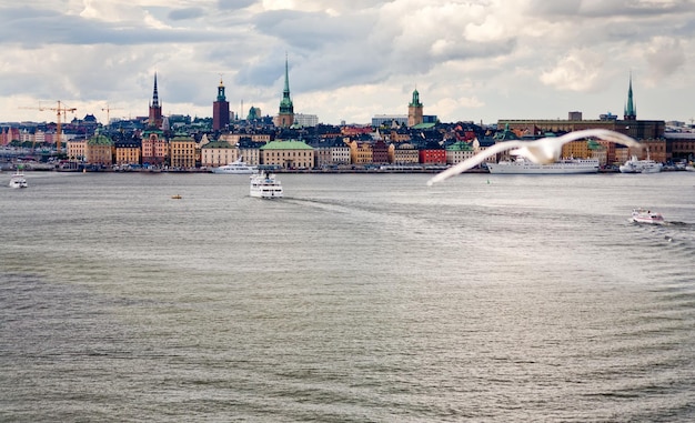 Panorama der Stadt Stockholm am Herbsttag Schweden