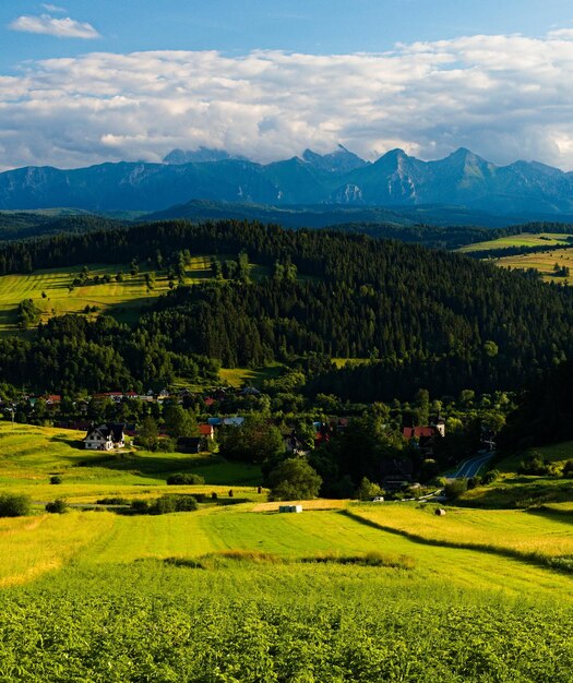 Panorama der Tatra-Berge aus dem Nationalpark Sromowce wyzne pieniny in Polen