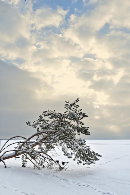 Panorama der Wolga im Winter