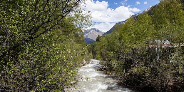 Foto panorama der wunderschönen landschaft, sonniger nachmittag, wunderbare frühlingslandschaft