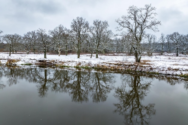 Panorama des Flusses an einem Wintertag mit Blick auf den Eichenhain