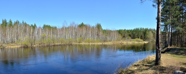 Panorama des Flusses im Frühling