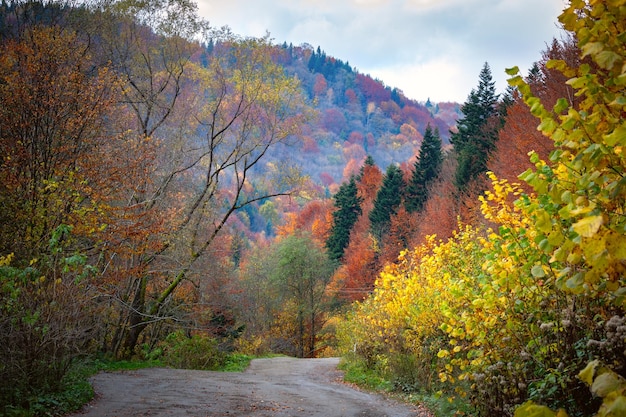 Panorama des Karpatenwaldes im Herbst mit goldenem und rotem Laub