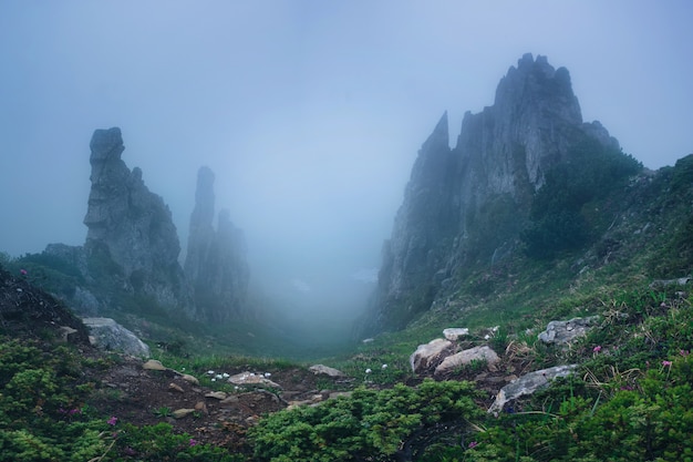 Panorama des mystischen Bergfelsens im Nebel