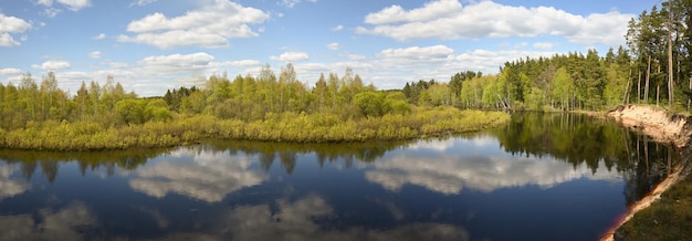 Panorama des Quellflusses im Wald