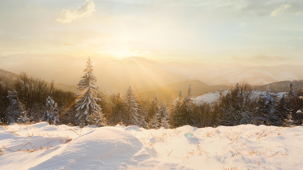 Panorama des schneebedeckten Winterbergwaldes Sonnenaufgangszeit Kopierraumhintergrund