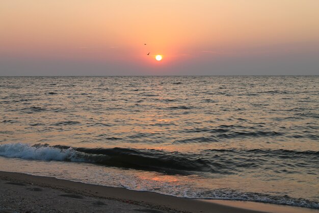 Panorama des schönen Sonnenaufgangs auf dem Meer und der wilden Natur