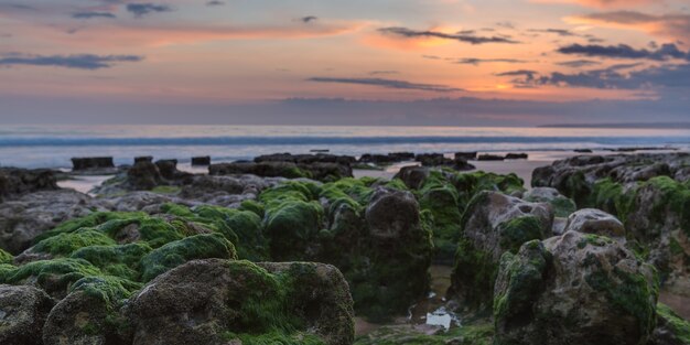 Panorama des Sonnenuntergangs am Strand. Algen auf den Felsen.