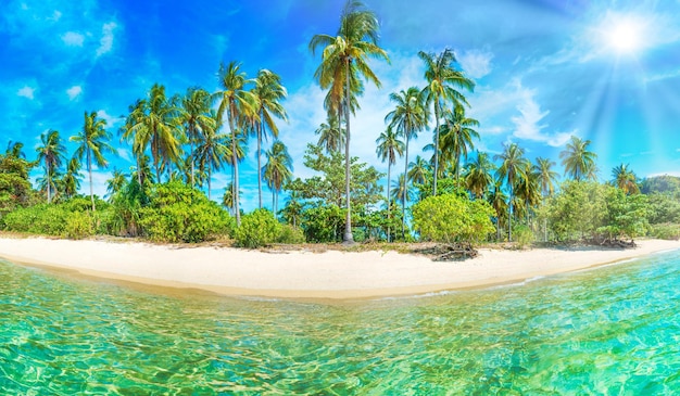 Foto panorama des strandes auf der tropischen insel