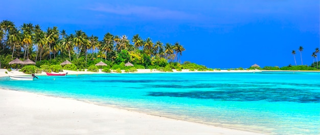 Panorama des tropischen Strandes in Malediveninseln