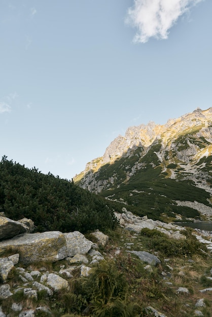 Panorama deslumbrante da paisagem montanhosa Bela natureza das montanhas polonesas de Tatra