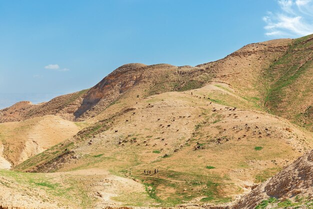 Panorama do deserto da judéia na primavera em israel