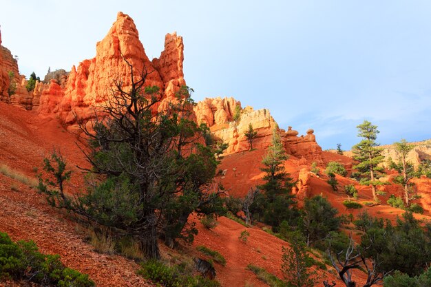 Panorama do desfiladeiro vermelho da estrada para o desfiladeiro bryce. paisagem de utah, eua. hoodoos, formações geológicas