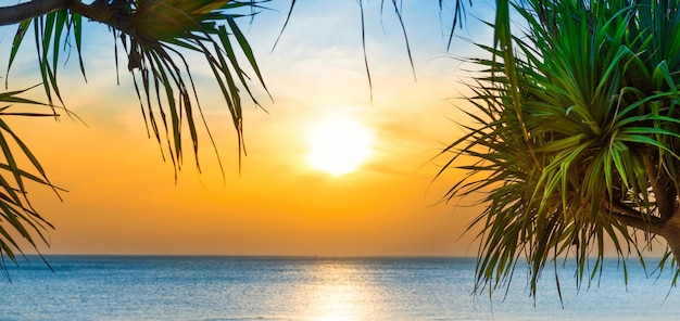 Panorama do mar e da praia do por do sol