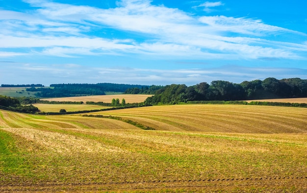 Panorama do país inglês HDR em Salisbury