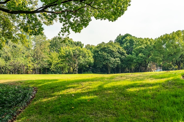 Panorama do parque da cidade grande