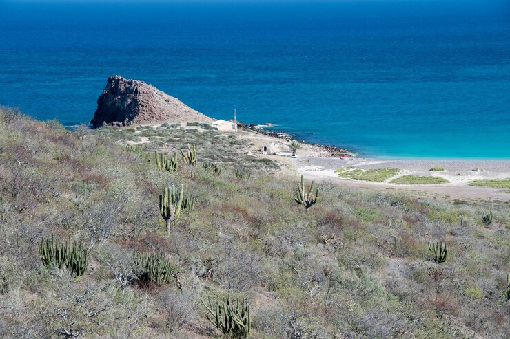 Foto panorama do parque nacional de cabo pulmo, na baixa califórnia