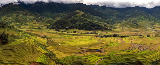 Panorama do ponto de visão de topo que pode ver campos terraced de arroz