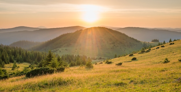 Panorama do pôr do sol nas montanhas com floresta, grama verde e um grande sol brilhando no céu dramático