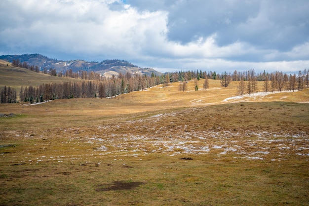 Panorama do vale com chuva de primavera nas montanhas altai do vale do rio katun no sul do oeste