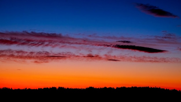 Panorama dos topos da floresta contra o fundo do céu iluminado pelo sol poente Azul laranja preto Cores quentes da noite