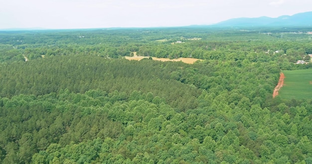 Panorama-Draufsichtlandschaft mit grünem Sommerwald schönem Berg North Carolina