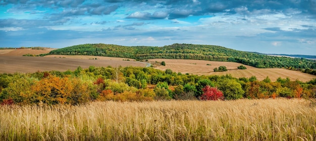 Panorama durch das trockene Gras, schöne Hügel mit Bäumen, die Straße zwischen Ackerfeldern im Herbst