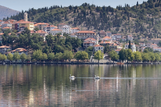 Panorama eines Bergsees Orestiada und der Stadt Kastoria an einem sonnigen Tag Mazedonien Nordwestgriechenland