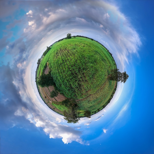 Panorama esférico de pequeño planeta Vista de 360 grados del campo de caña de azúcar.