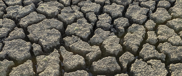 Panorama getrockneter rissiger Seeboden Hintergrundtextur globale Erwärmung