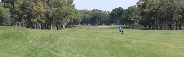 Panorama grüner Golfplatz mit Wald