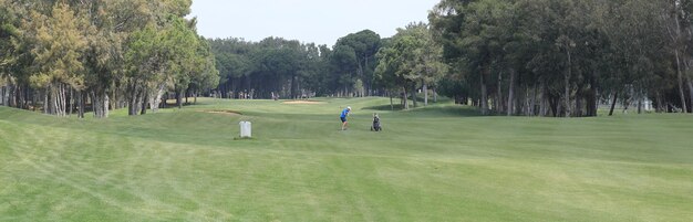 Panorama grüner Golfplatz mit Wald