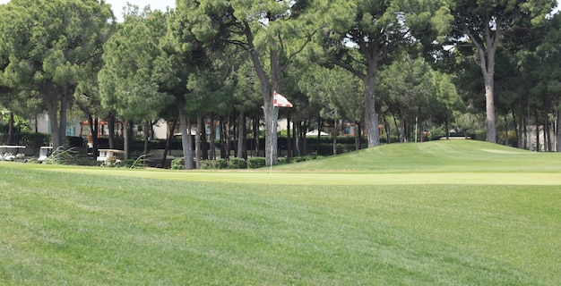 Panorama grüner Golfplatz mit Wald