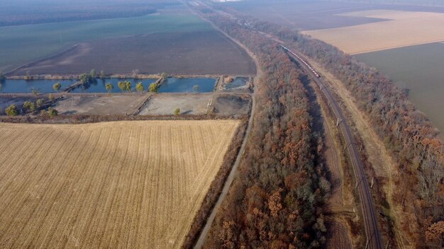 Panorama-Güterzug entlang Eisenbahnschienen Bäume landwirtschaftliche Felder