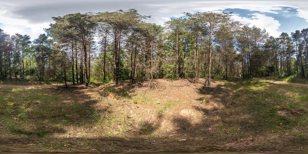 Panorama hdri esférico completo vista de ângulo de 360 graus na trilha de pedestres de cascalho e caminho de ciclovia na floresta de pinheiros na noite ensolarada de primavera em projeção equirretangular VR conteúdo AR