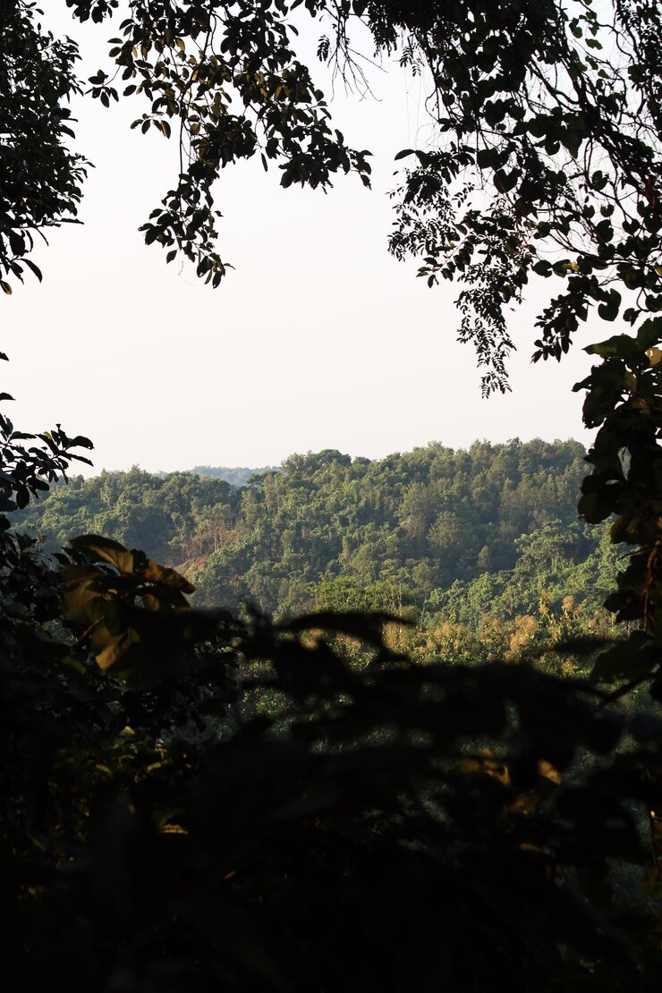 Panorama de la hermosa campiña de Bangladesh una tarde soleada un paisaje maravilloso en las montañas