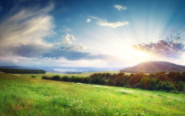 Panorama del hermoso paisaje. Composición de la naturaleza.