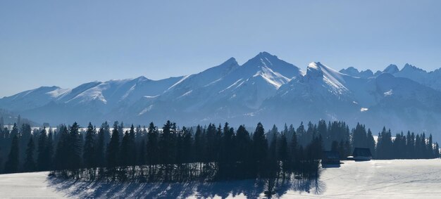 Foto panorama invernal de las montañas tatra