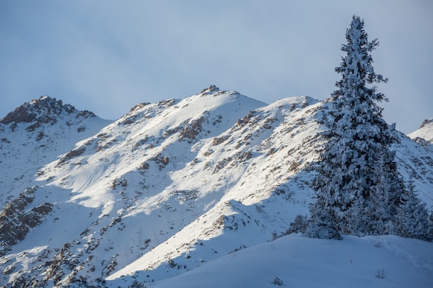 Foto panorama de invierno con cabaña de esquí en la nieve.