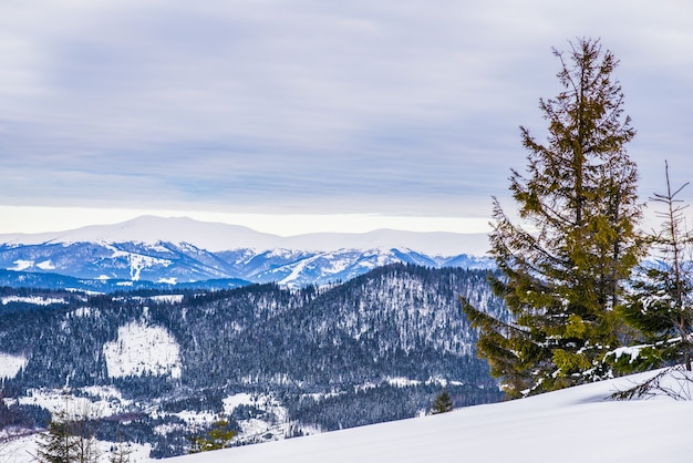 Panorama de invierno de las colinas con una gruesa capa de nieve en el fondo