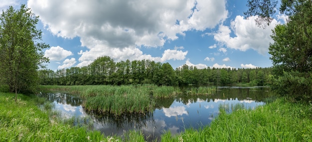 Panorama kleiner Teich mit Schilf im Wald, weiße Wolken auf blauem Himmel