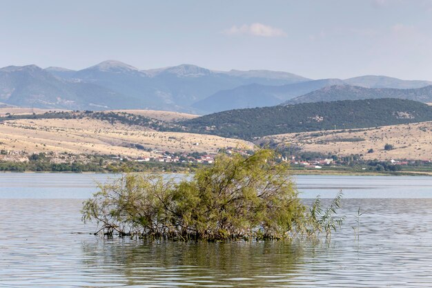 Panorama de un lago de montaña Vegoritida en nom Florina en un día soleado Macedonia noroeste de Grecia