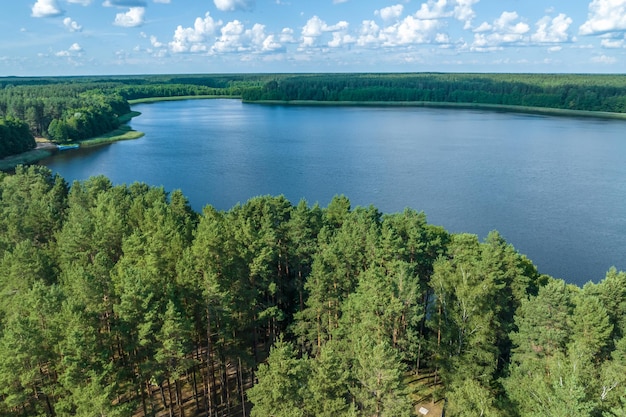 Panorama-Luftaufnahme über den See inmitten des Waldes