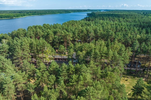 Panorama-Luftaufnahme über den See inmitten des Waldes