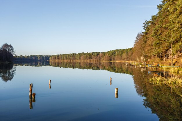 Panorama del magnífico paisaje del gran lago en el bosque de pinares