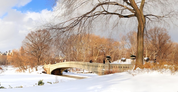 Panorama de Manhattan Central Park de Nueva York en invierno