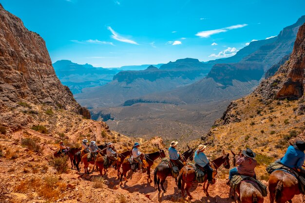 Panorama-Maultier-Touristen auf dem South Kaibab Trailhead Trekking. Grand Canyon, Arizona